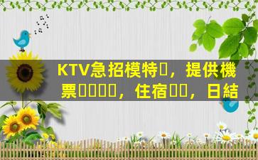 KTV急招模特，提供機票，住宿，日結